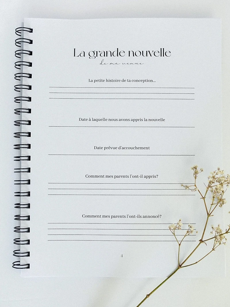 Livres de grossesse et bébé (Ta petite histoire)