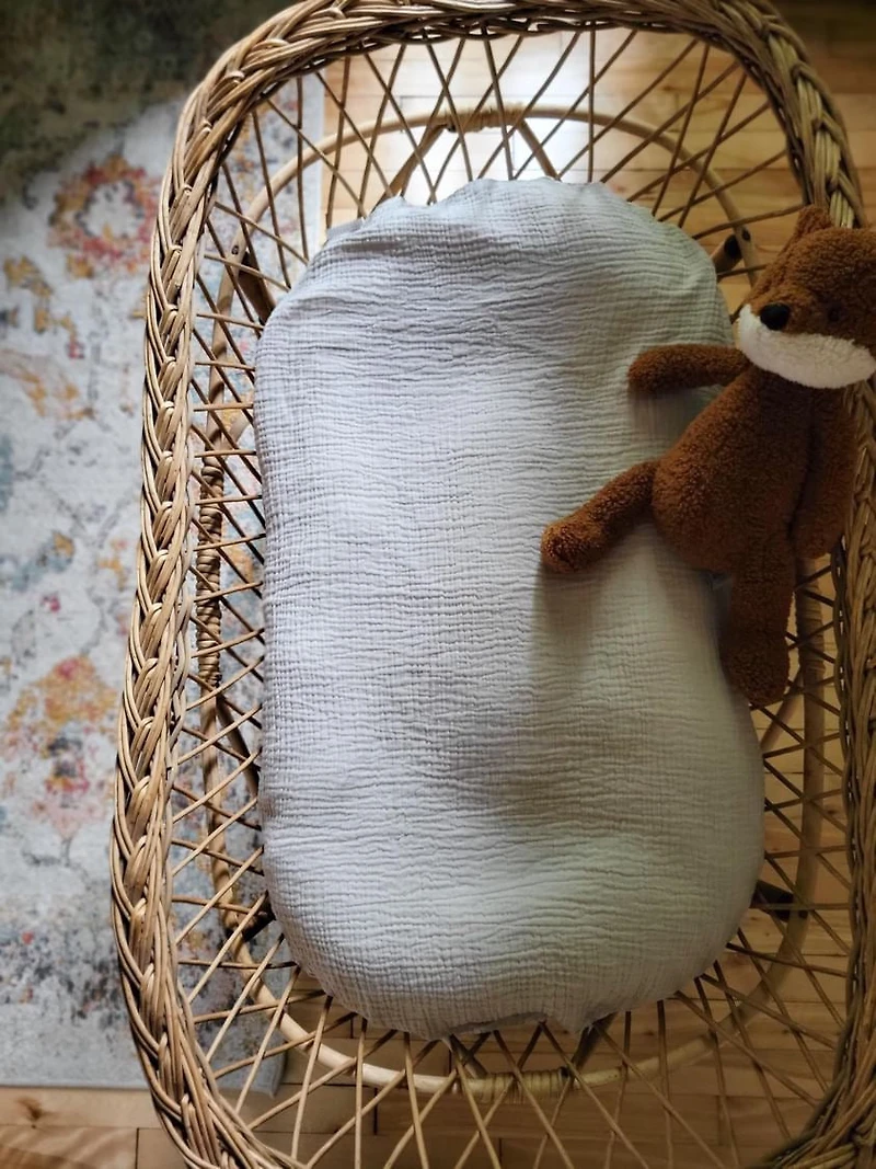 Comfort-Dodo Cushion Cover