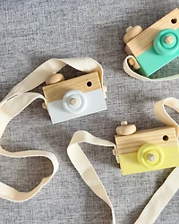 Wooden camera