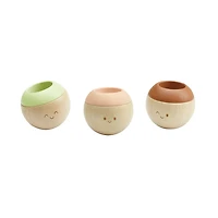 PlanToys Toys