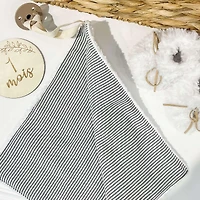 Mini comforter with pacifier clip