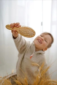 Hair brush