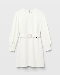 Long Sleeve Belted Mini Dress