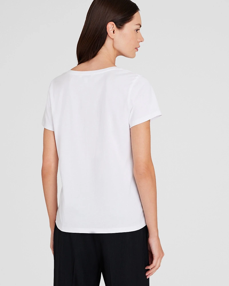 The V-Neck T-Shirt