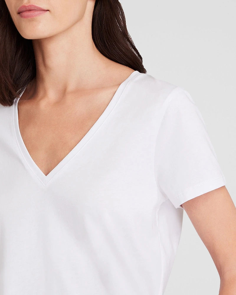 The V-Neck T-Shirt