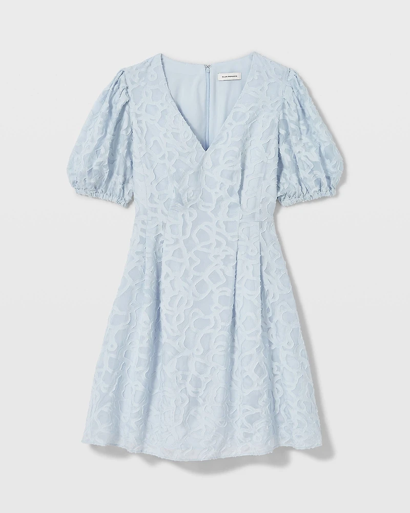 Textured Puff Sleeve V-Neck Dress