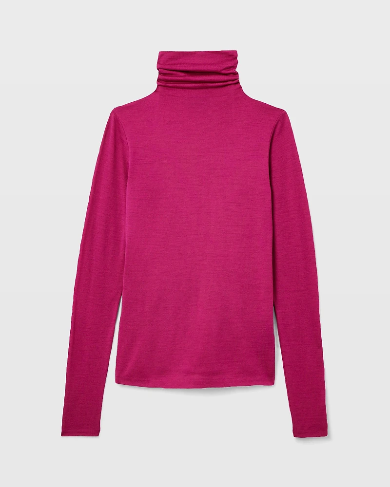 Julianna Wool Blend Turtleneck