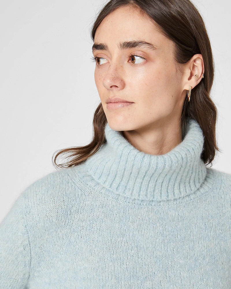 Lux Turtleneck Tunic