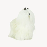 Alpaca Fur Standing Suri