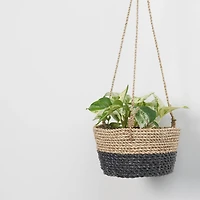Classic Hanging Basket