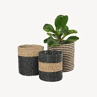 Plant Basket