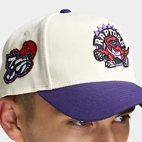 New Era Toronto Raptors 9FORTY AF Chrome / Purple