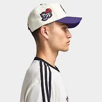 New Era Toronto Raptors 9FORTY AF Chrome / Purple