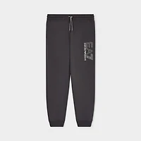 EA7 Visibility Joggers / Grey