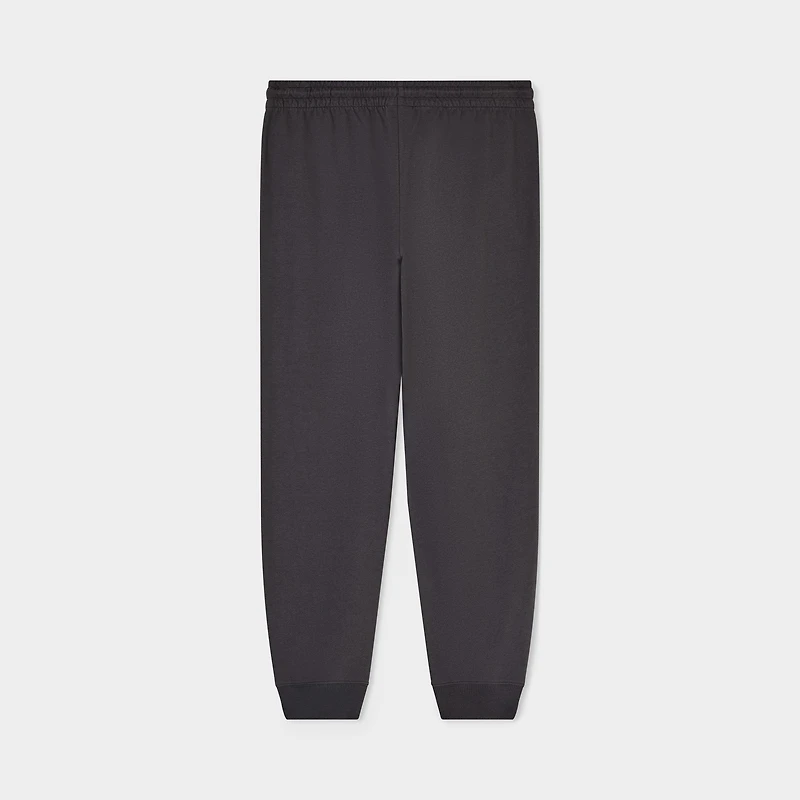EA7 Visibility Joggers / Grey