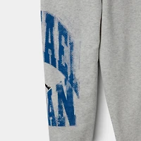 Jordan Juniors' MJ MVP Fleece Pant / Birch Heather
