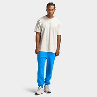 Nike Sportswear Premium Essentials Men's T-Shirt Light Bone / Heather