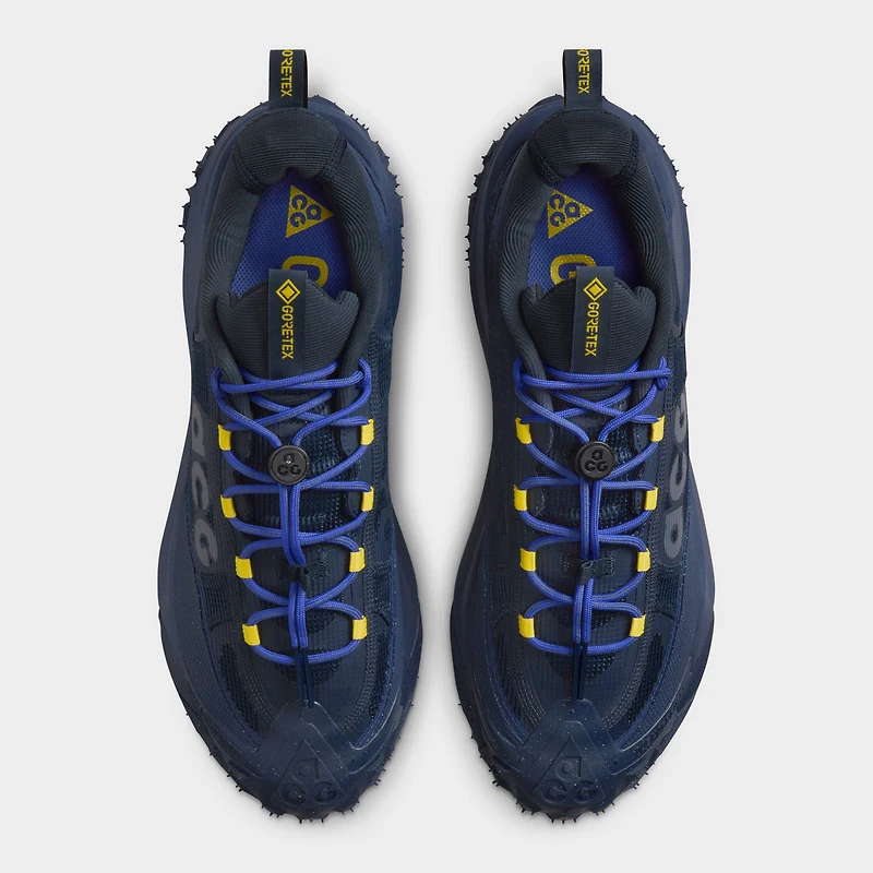 Nike ACG Mountain Fly 2 Low GTX Obsidienne foncée / Gris loup