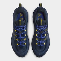 Nike ACG Mountain Fly 2 Low GTX Obsidienne foncée / Gris loup