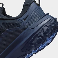 Nike ACG Mountain Fly 2 Low GTX Obsidienne foncée / Gris loup