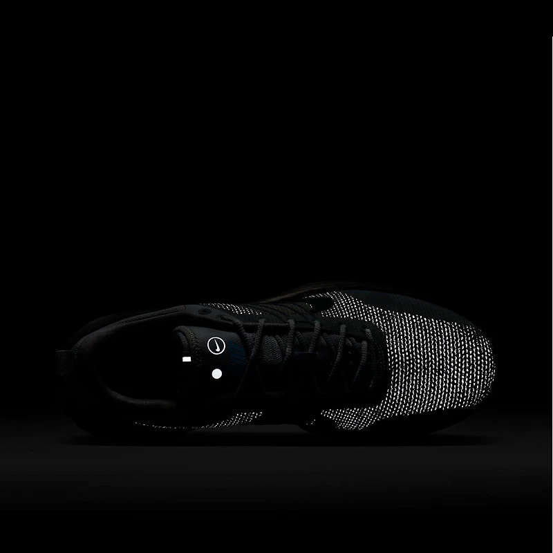 Nike Lunar Roam PRM Pure Platinum / Anthracite - Wolf Grey