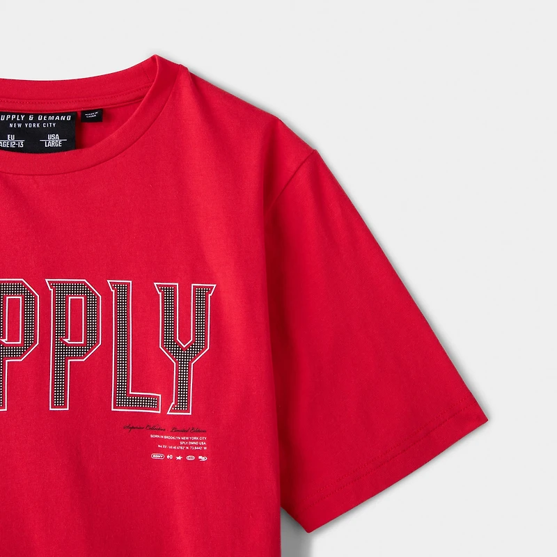 Supply & Demand Junior Boys' Buck T-shirt / Red