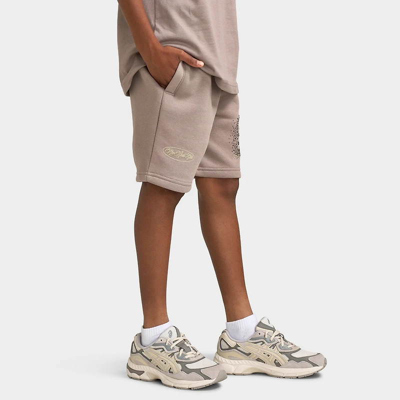 Supply & Demand Junior Boys' Flinkley Shorts / Driftwood
