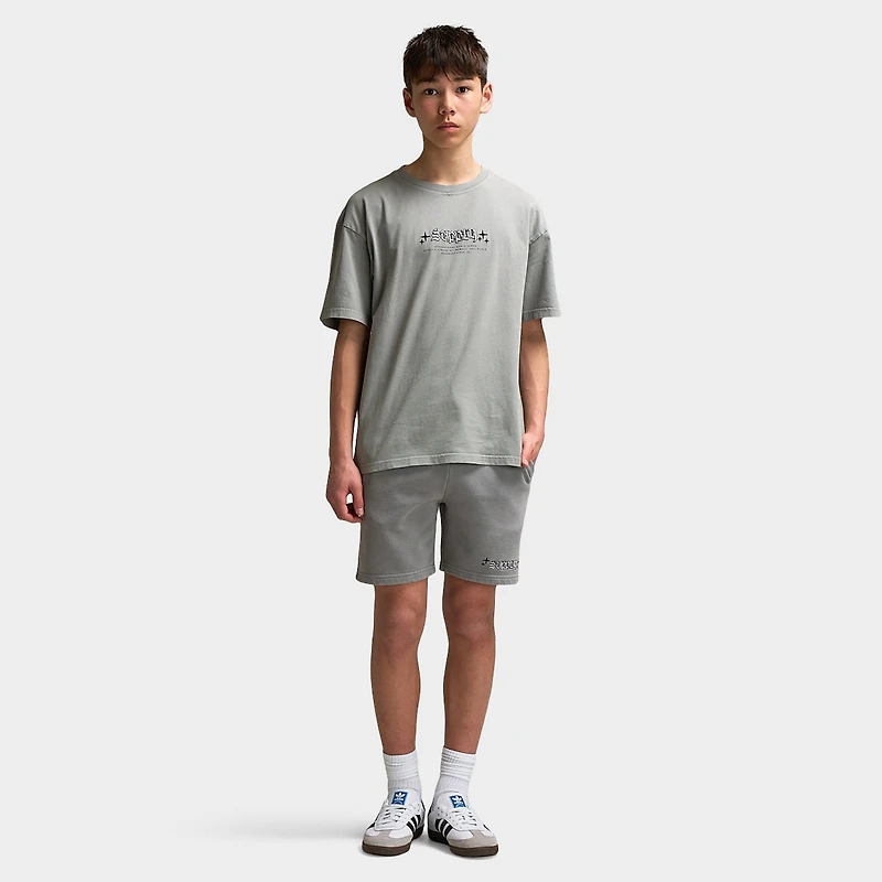 Supply & Demand Junior Boys' Quita T-Shirt / Ultimate Washed Grey