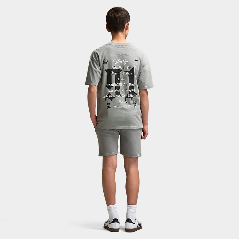 Supply & Demand Junior Boys' Quita T-Shirt / Ultimate Washed Grey