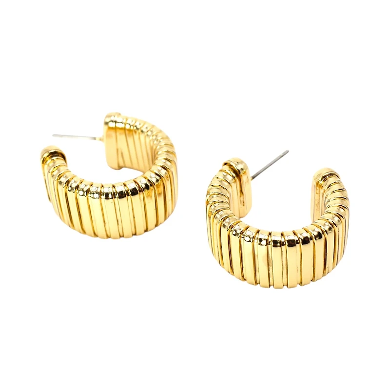 80532 Brito Earrings