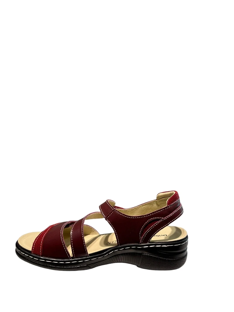 Ortho ESQUADA Tegan-7