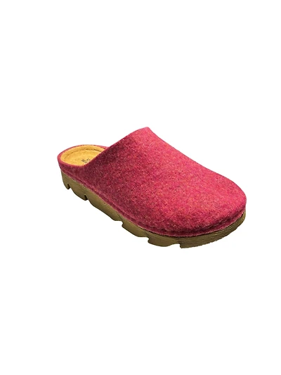 Volks Walkers Leda NL