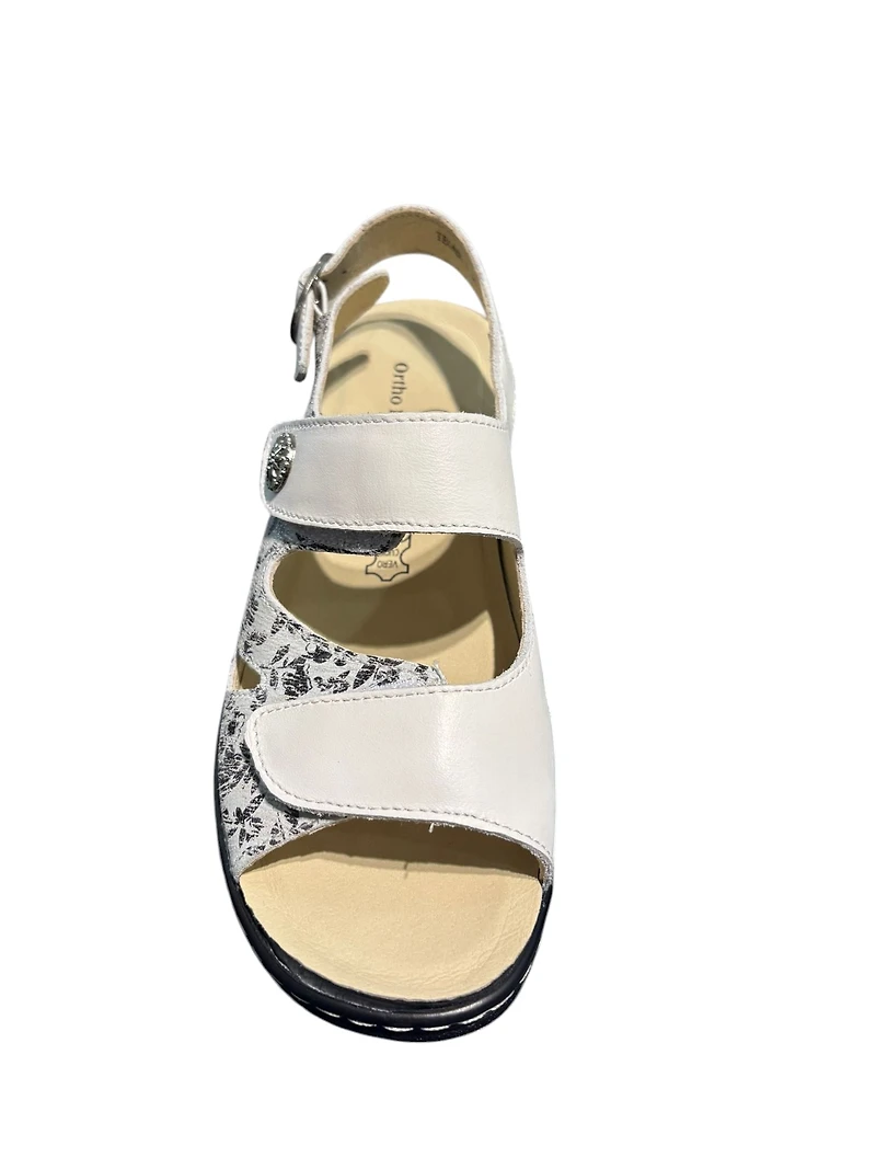 Ortho ESQUADA Tegan-1