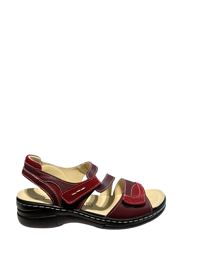 Ortho ESQUADA Tegan-7