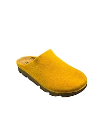 Volks Walkers Leda NL