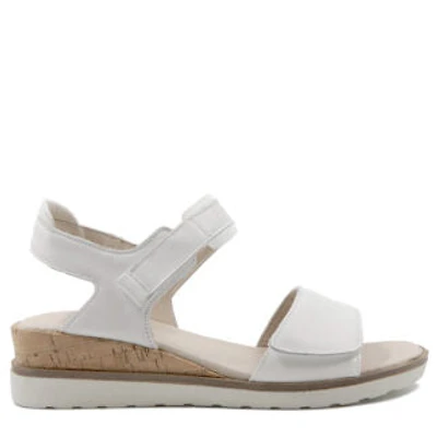 Josef Seibel Wyatt 04