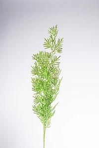 35" Palms Berries Foliage - Green