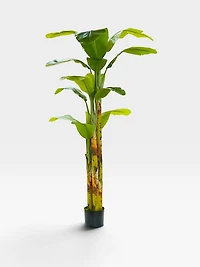 Banana Tree 240cm -Green