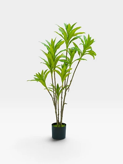 Yuca Plant 120cm -Green