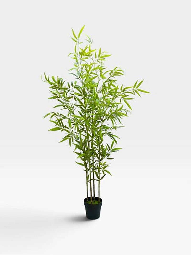 Bamboo 190cm