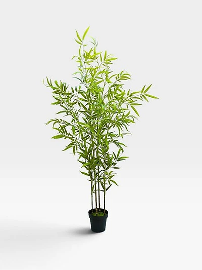 Bamboo 190cm