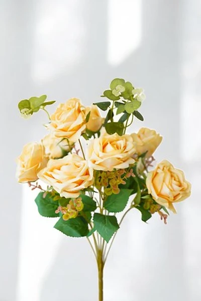 ROSE BUSH CREAM 50CM