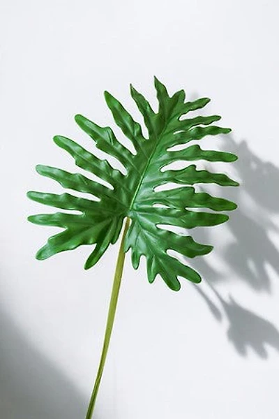 PHILODENRON LEAF 98CM GREEN