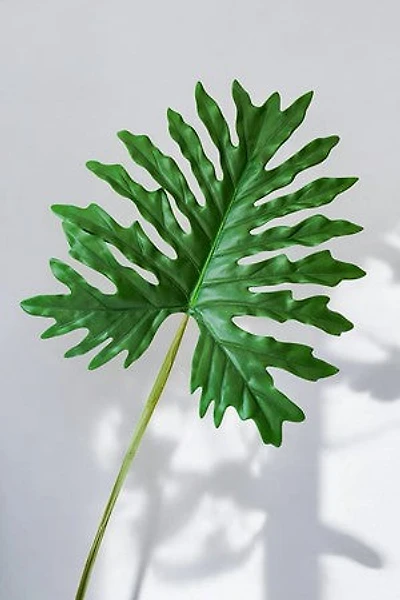 PHILODENRON LEAF 105CM GREEN