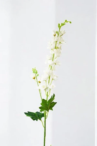 WISTERIA WHT/CREAM