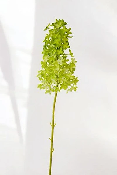 LILAC LT. GREEN