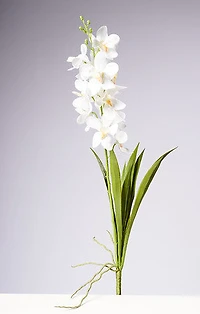 28.5" VANDA ORCHID PLANT - WHITE