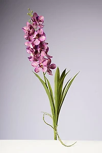 28.5" VANDA ORCHID PLANT - FUSCIA