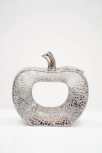 10"  Titanium Silver Apple