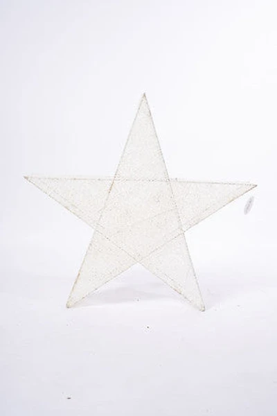 30" White Star W/Plugs